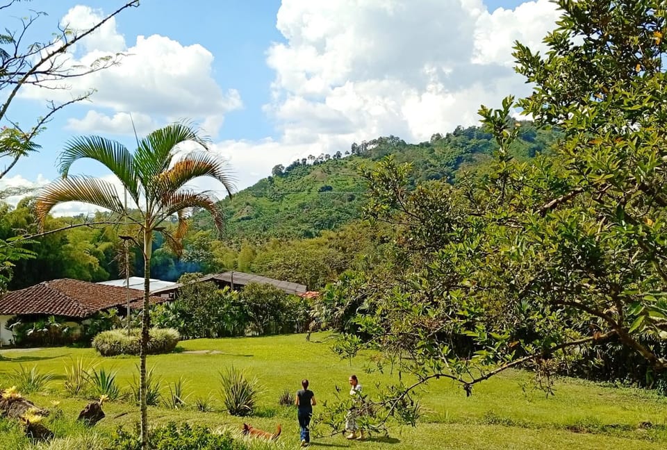 Off site, Garden