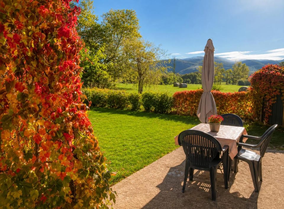Natural landscape, Garden, Dining area