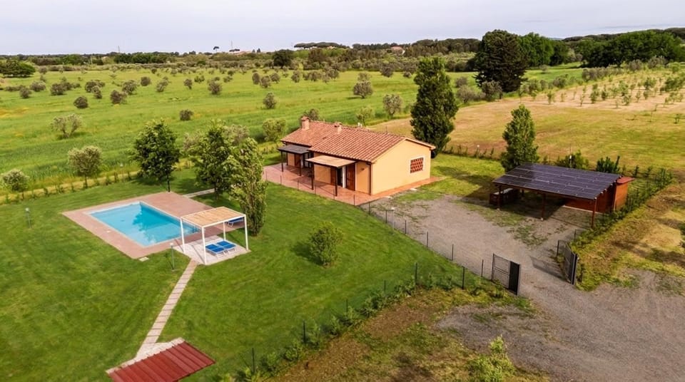 Property building, Garden, Garden view, Swimming pool, sunbed