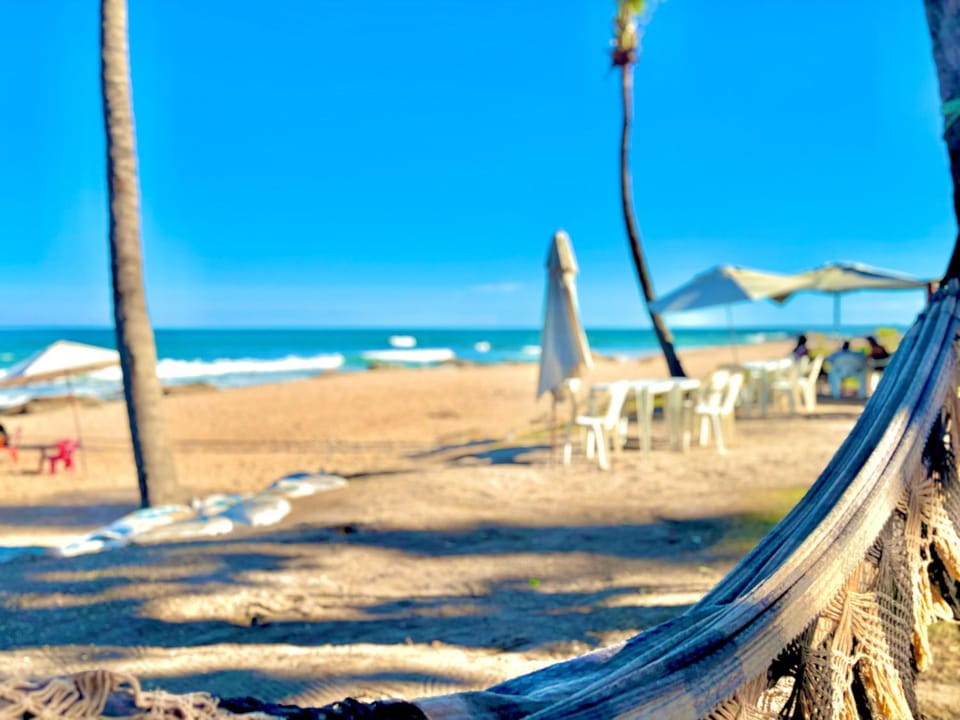Nearby landmark, Restaurant/places to eat, Day, Natural landscape, Beach, Cycling, Evening entertainment, Sea view, Entertainment, children, young children, older children, Family, furniture, sunbed