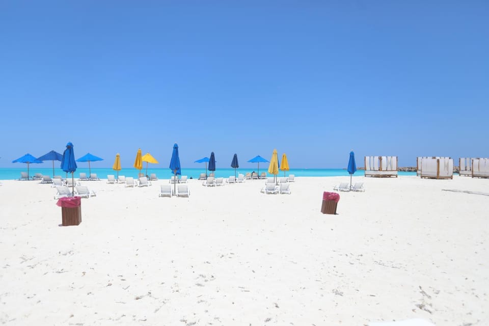 Restaurant/places to eat, Day, Beach, Seasons