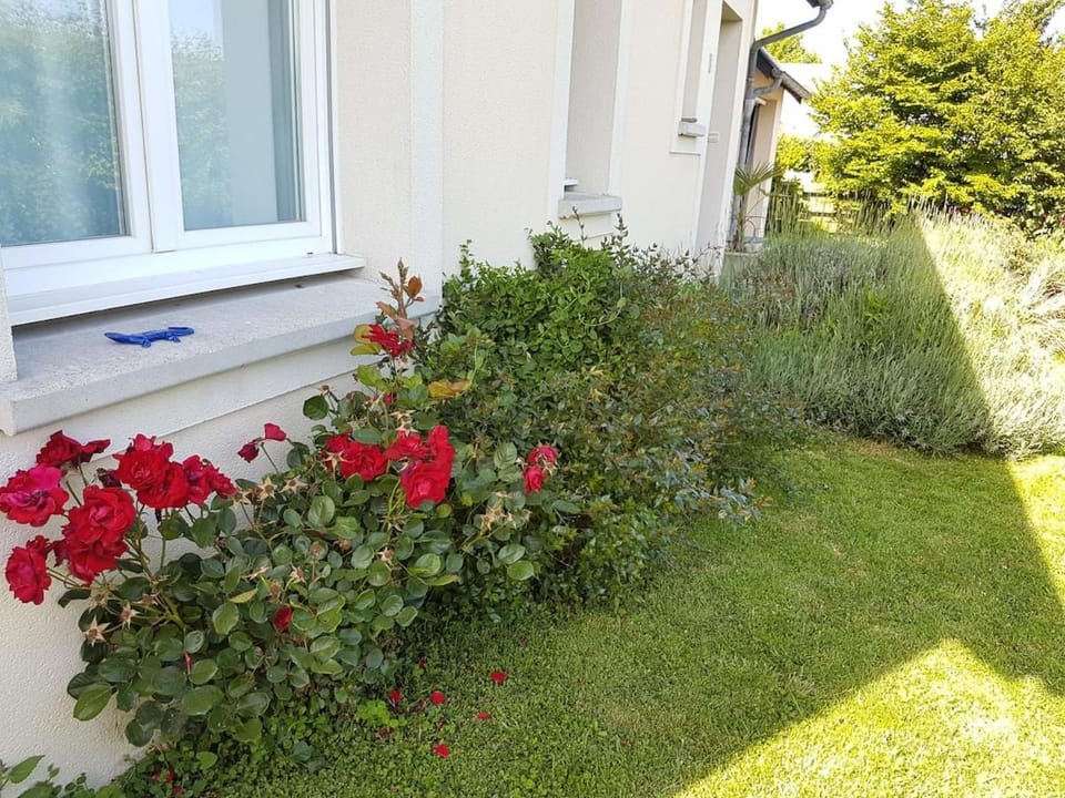 Maison près du port, D Day House in Normandy