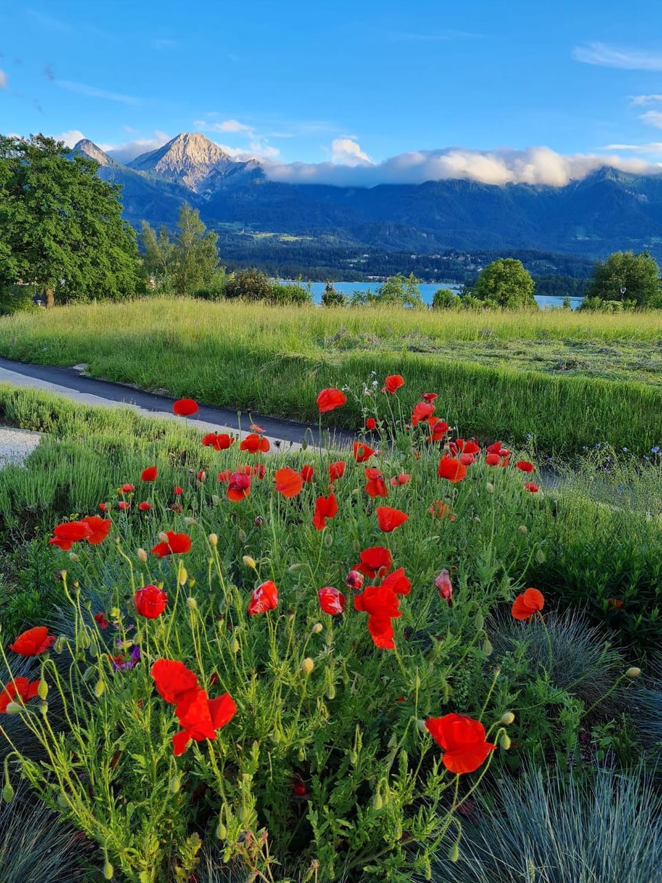Natural landscape, Hiking
