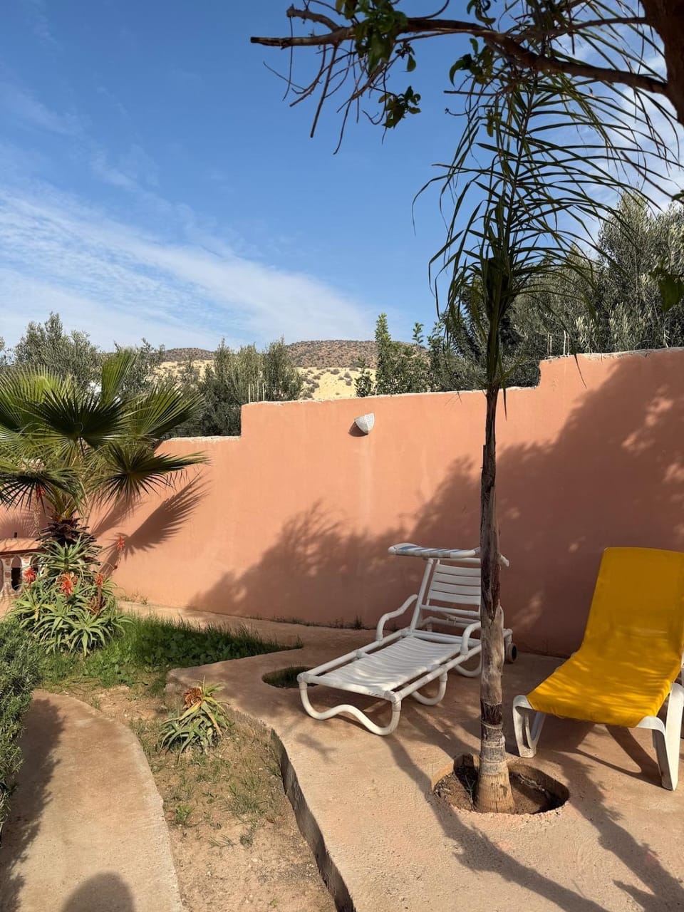 Garden, Balcony/Terrace, sunbed