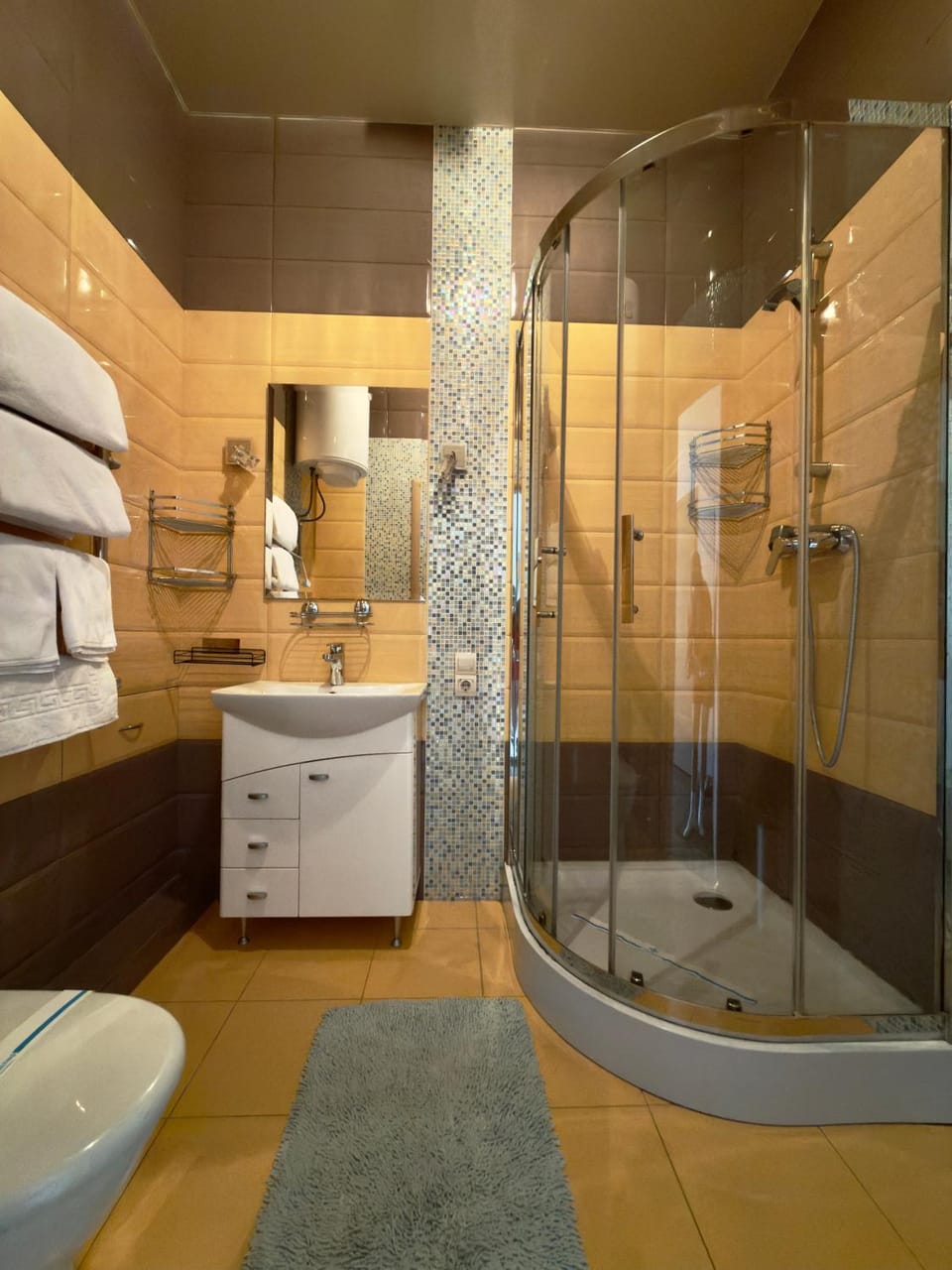Shower, Toilet, towels