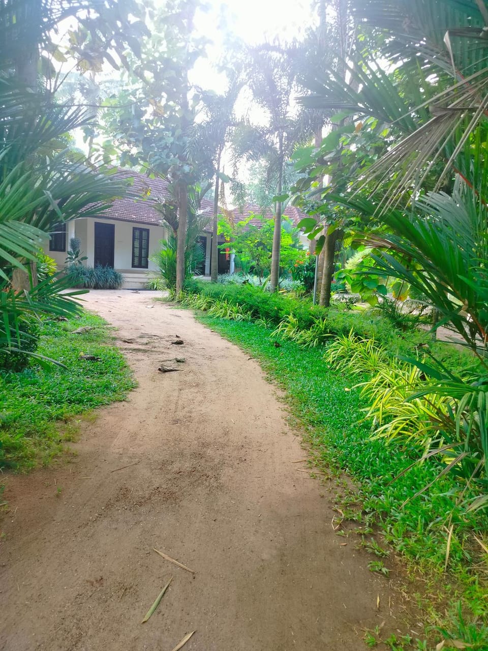 Day, Natural landscape, Garden, Garden view