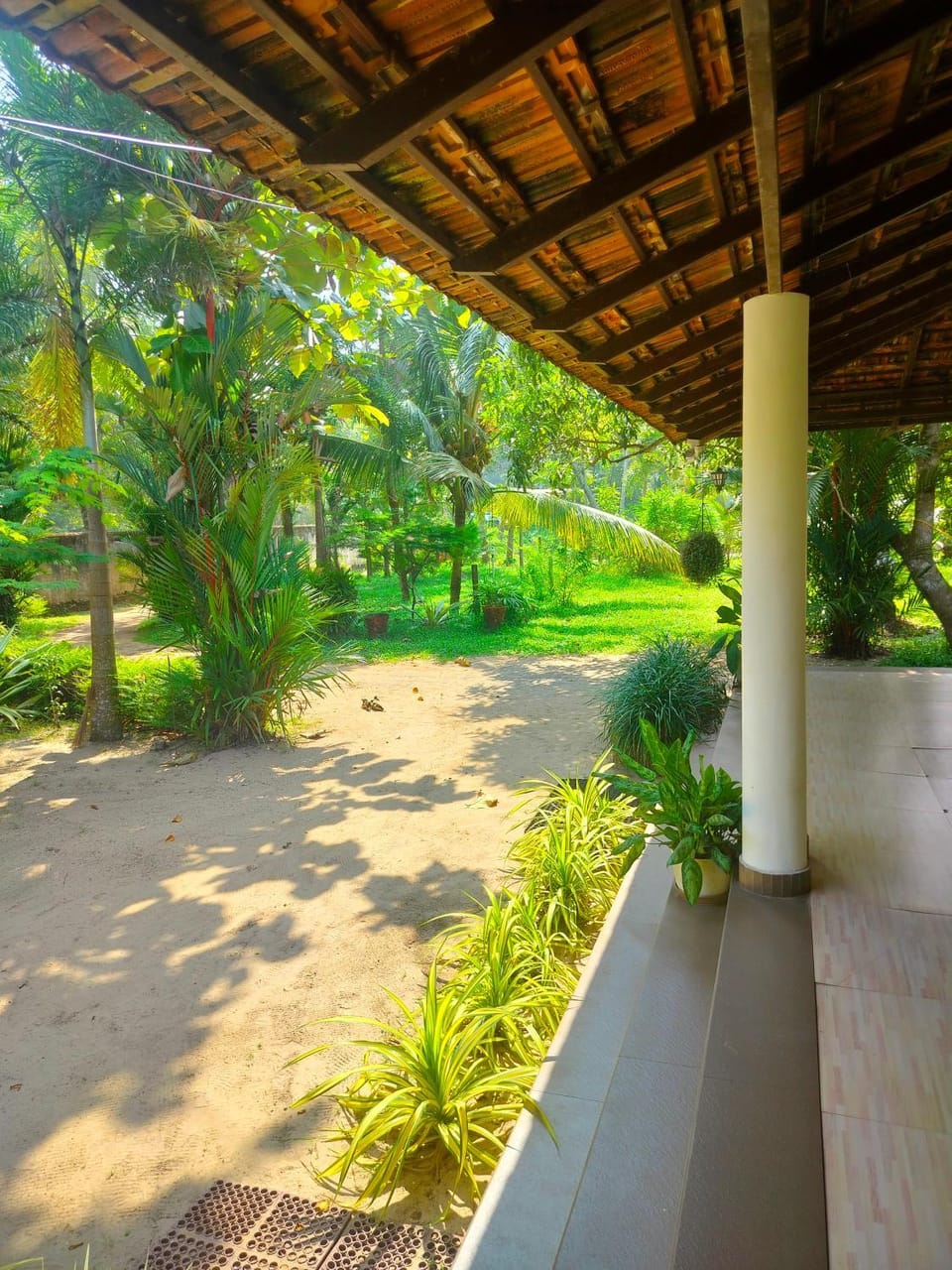 Garden