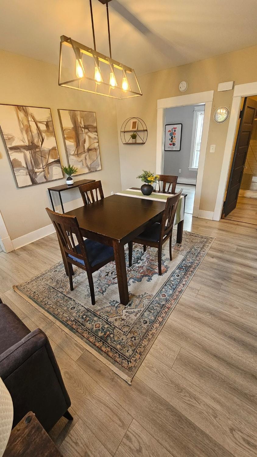 Cozy One Bedoom apartment Apartment in Saint John