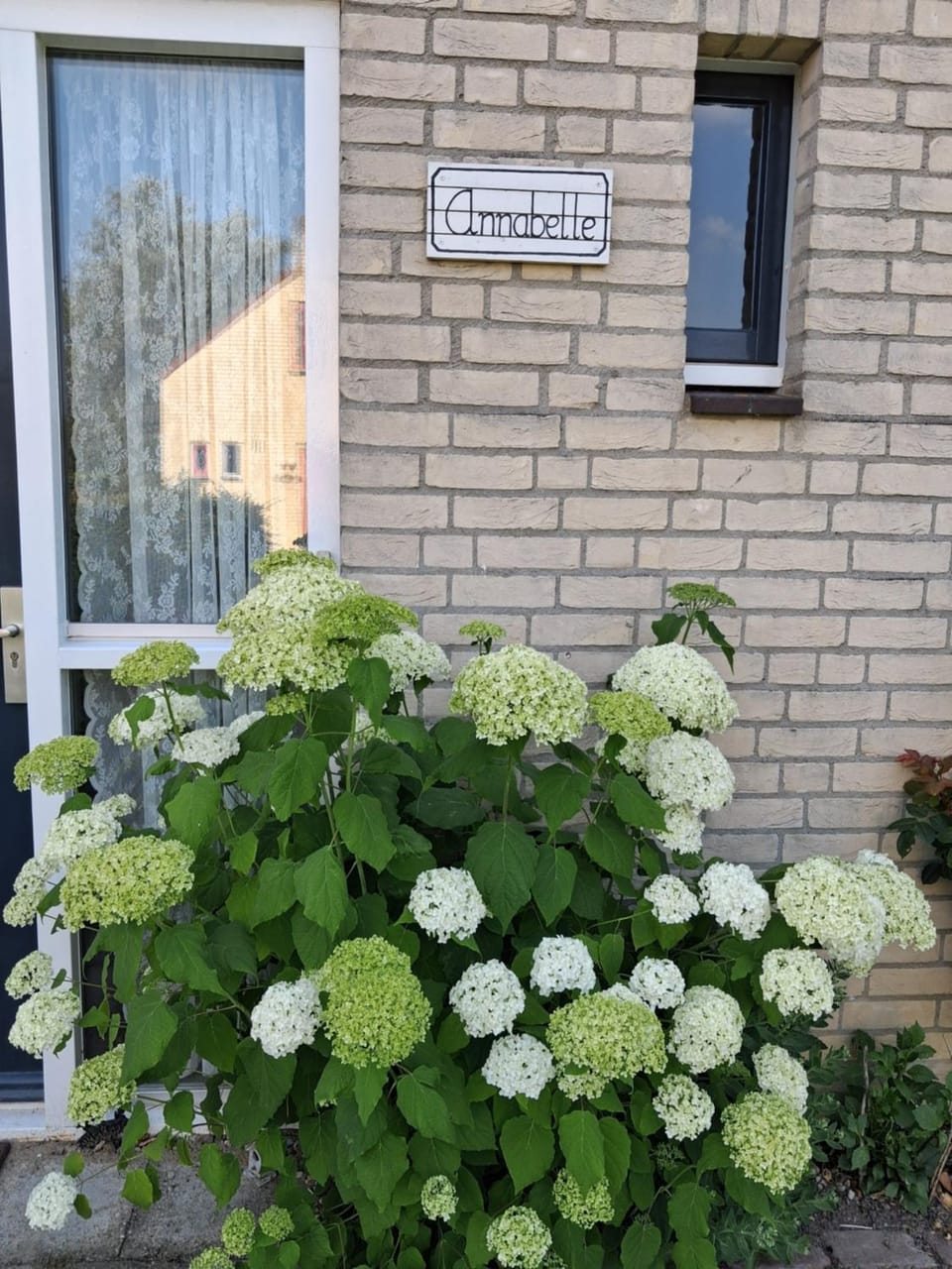 Heerlijke recreatiewoning op een geweldige plek House in Gelderland, Netherlands