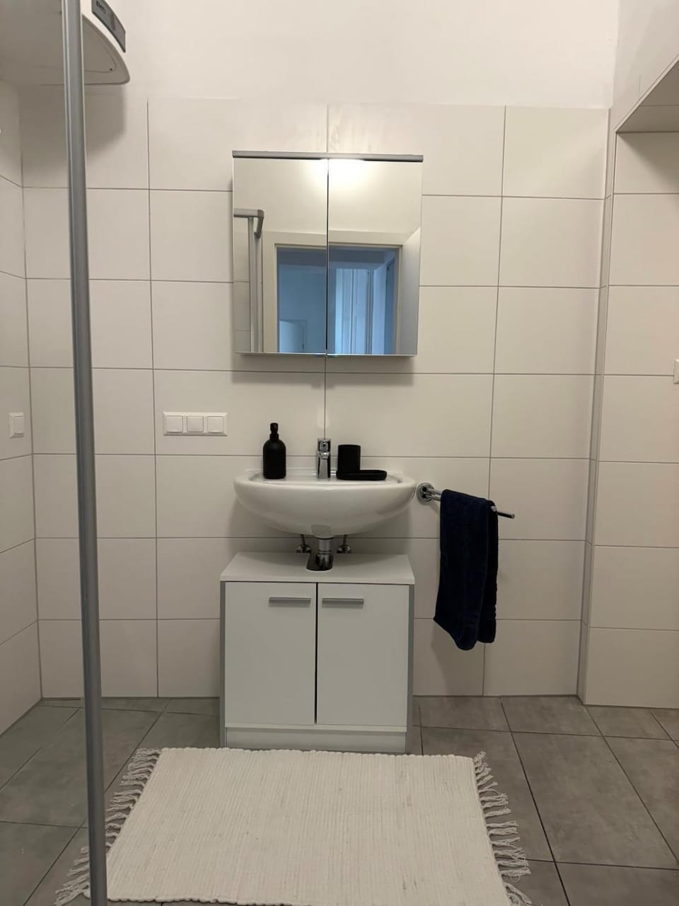 Stylish apartment located in the heart of downtown Apartment in Graz