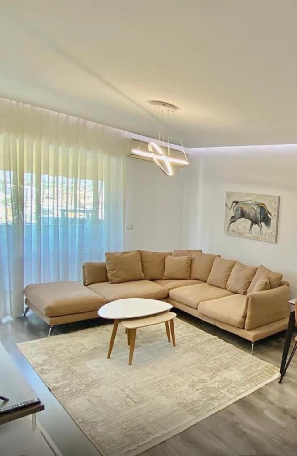 Living room, Photo of the whole room