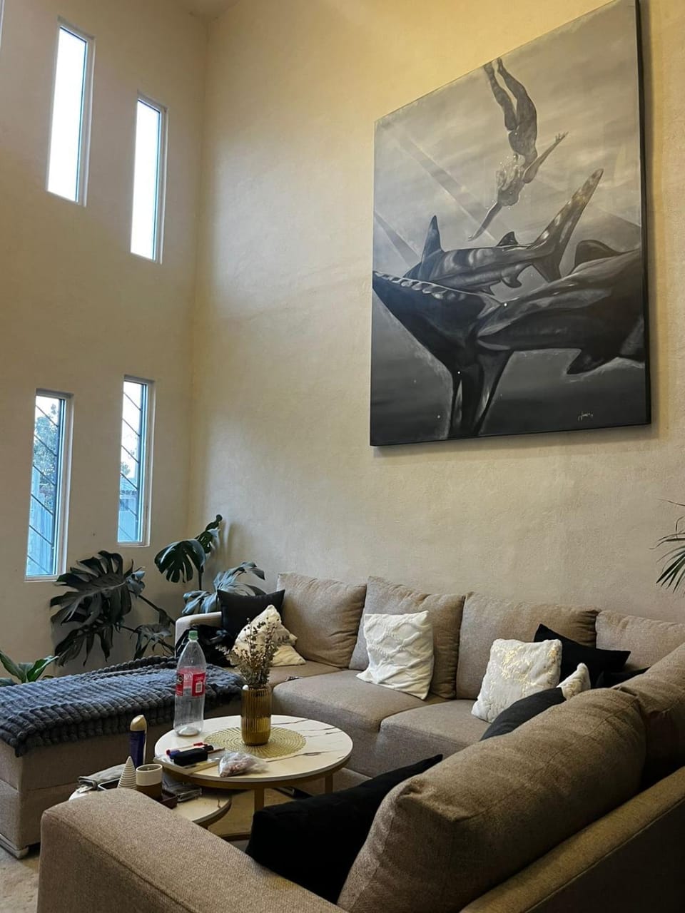 Communal lounge/ TV room