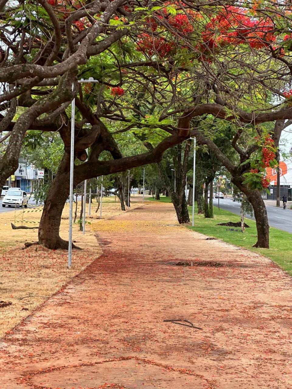 Casa de mãe House in Foz do Iguaçu