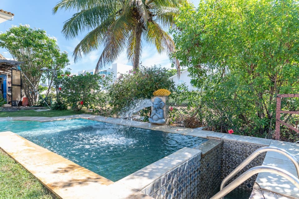 Day, Garden, Garden view, Pool view, Swimming pool