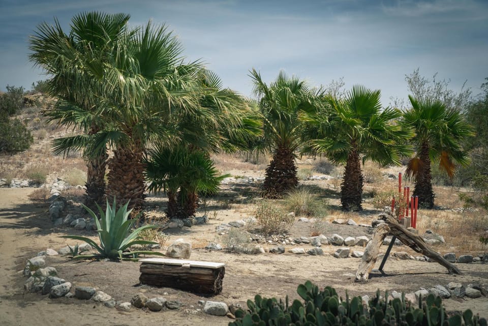 Day, Natural landscape, Garden, Garden view