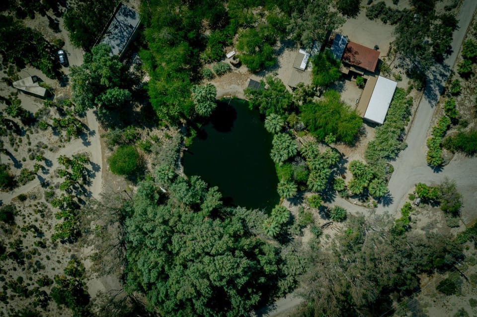 Lake view