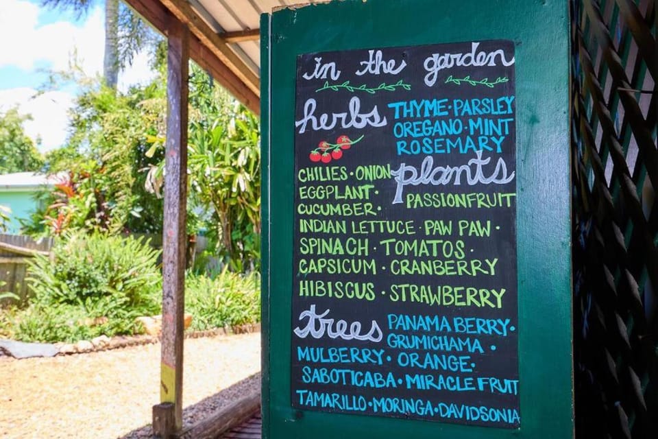 On The Wallaby Eco Lodge Nature lodge in Yungaburra