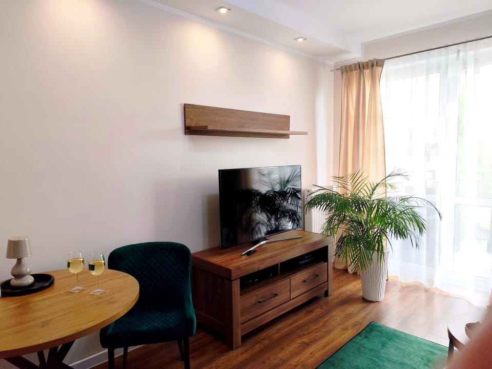 TV and multimedia, Living room, Seating area, Evening entertainment
