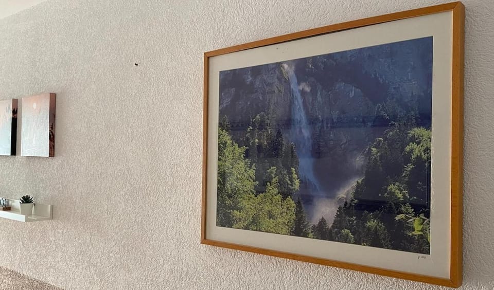 Falke-Apart 1 am Wasserfall Apartment in Canton of Bern (Region)