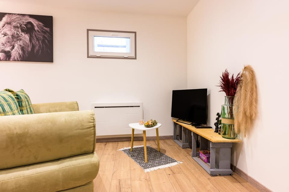Au cœur de l'Alsace Apartment in Colmar