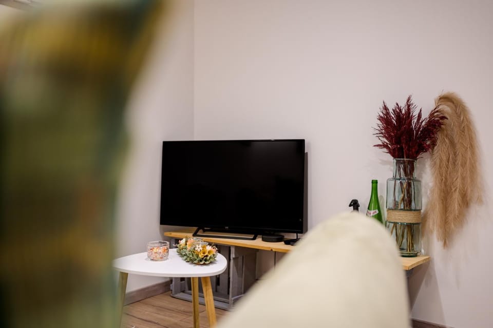 Au cœur de l'Alsace Apartment in Colmar
