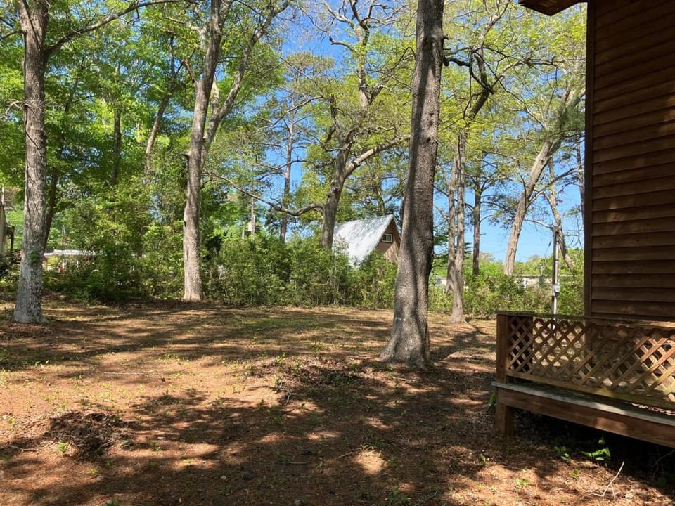 Natural landscape, Garden view