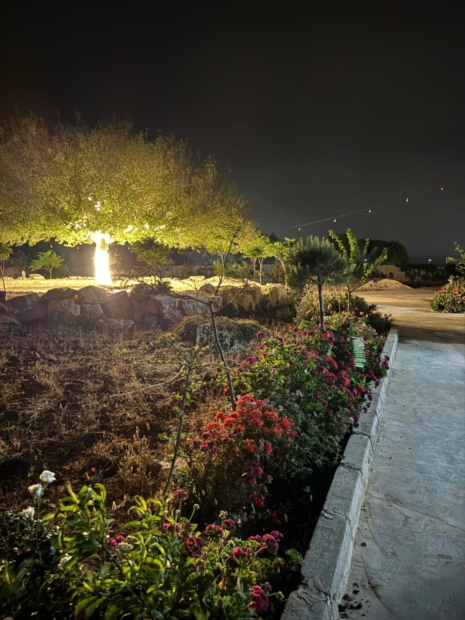 Rabab3a Hotel Hotel in Africa