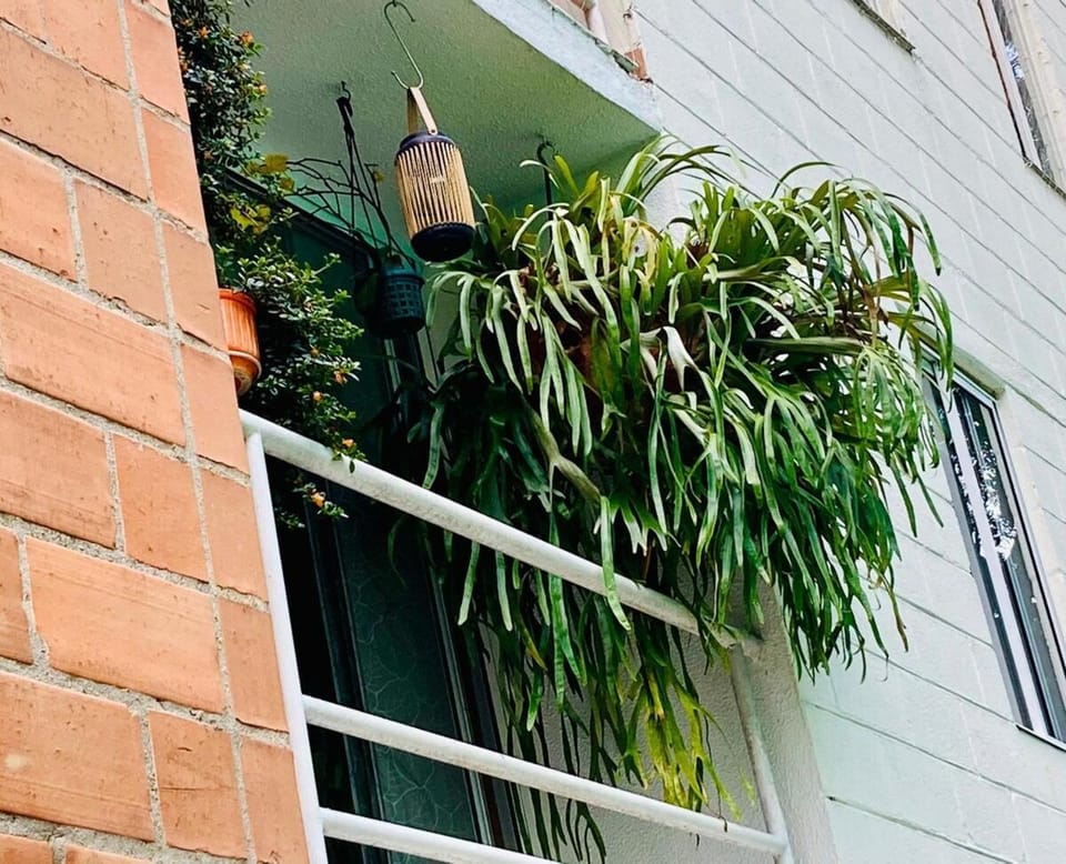 Peaceful nature retreat in green Envigado-2BR Apartment in Envigado