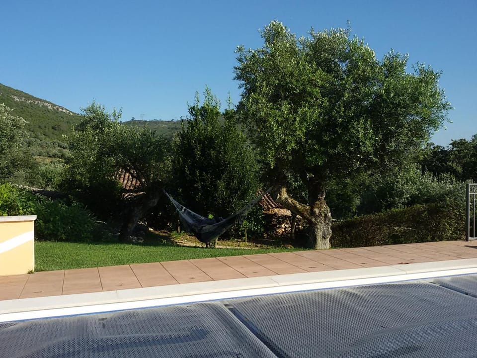 Activities, Swimming pool, Entertainment