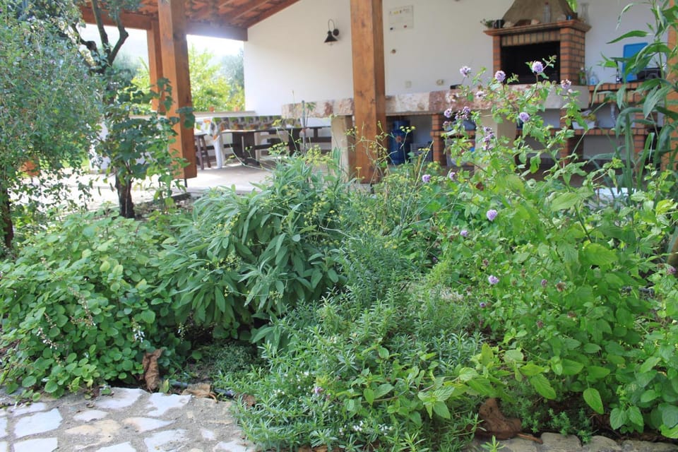Activities, View (from property/room), Other, Garden view