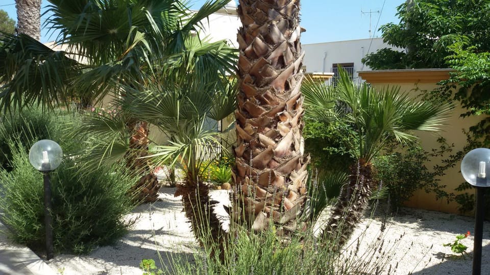 Garden, Garden