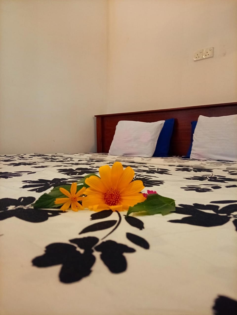 SEE CHAIN Resort Hotel in Gangawatakorale