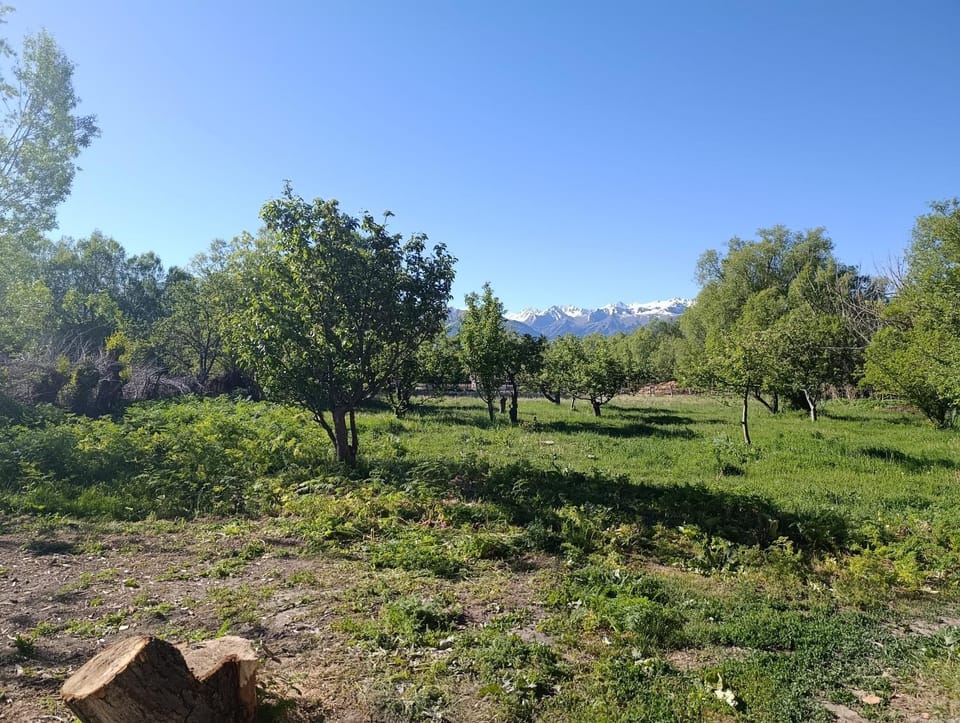Эламан Vacation rental in Almaty Region, Kazakhstan