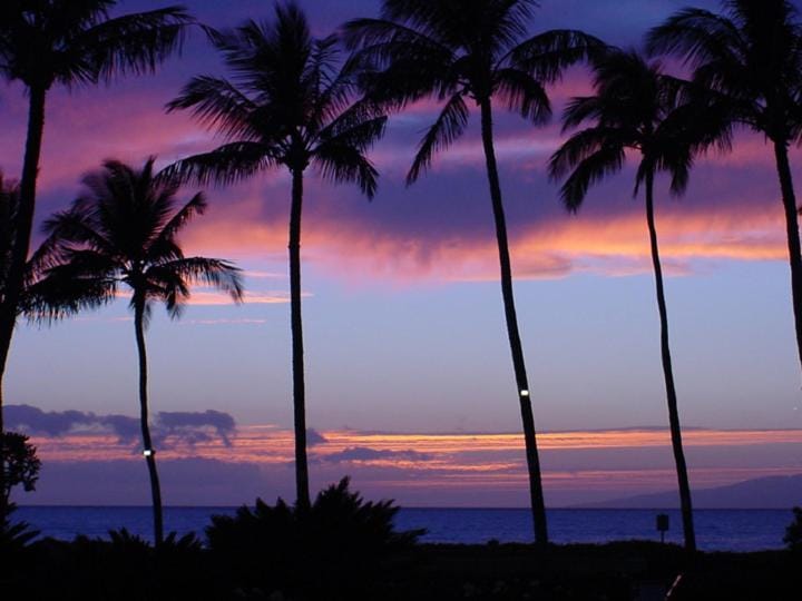 Waiohuli Beach Hale #D-221 Oceanfront View, Amazing Sunsets, Pool in Complex Apartment in Kihei