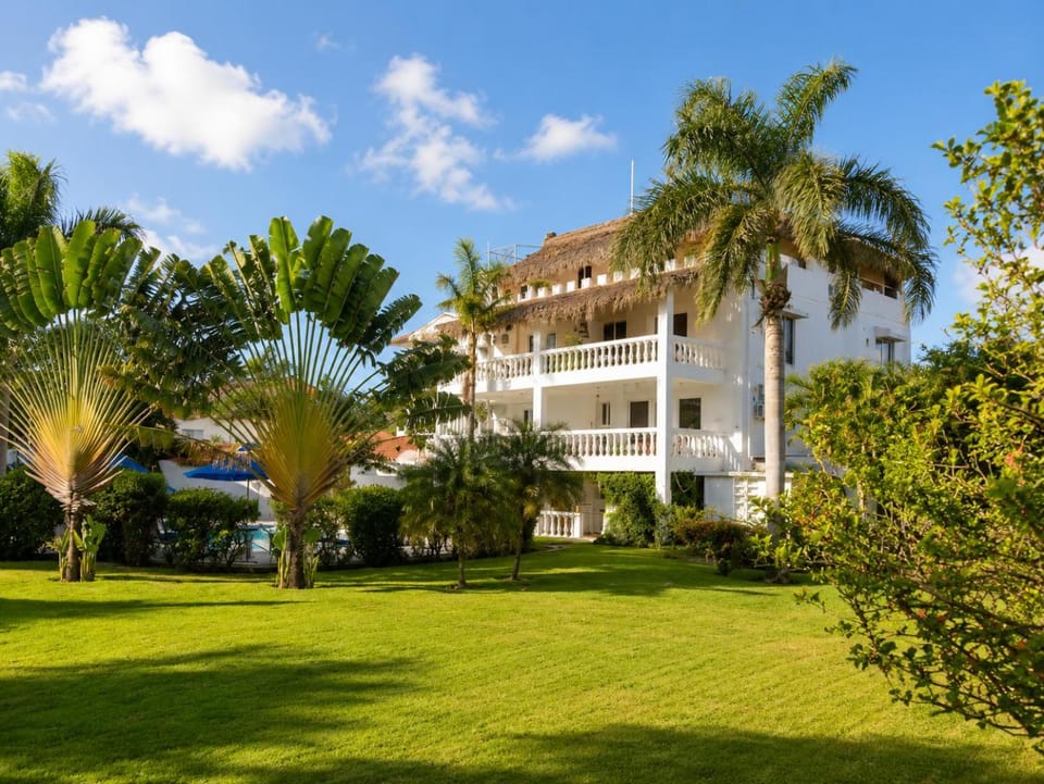 Property building, Garden view