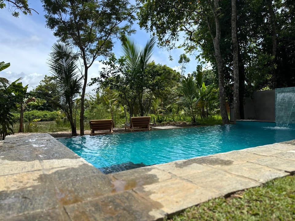 Pool view, Swimming pool