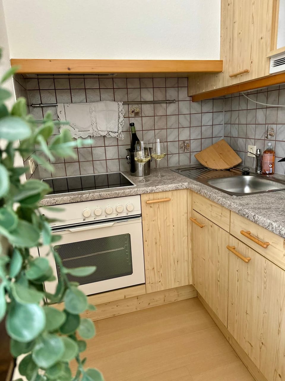 Gästehaus Friedl Apartment in Styria