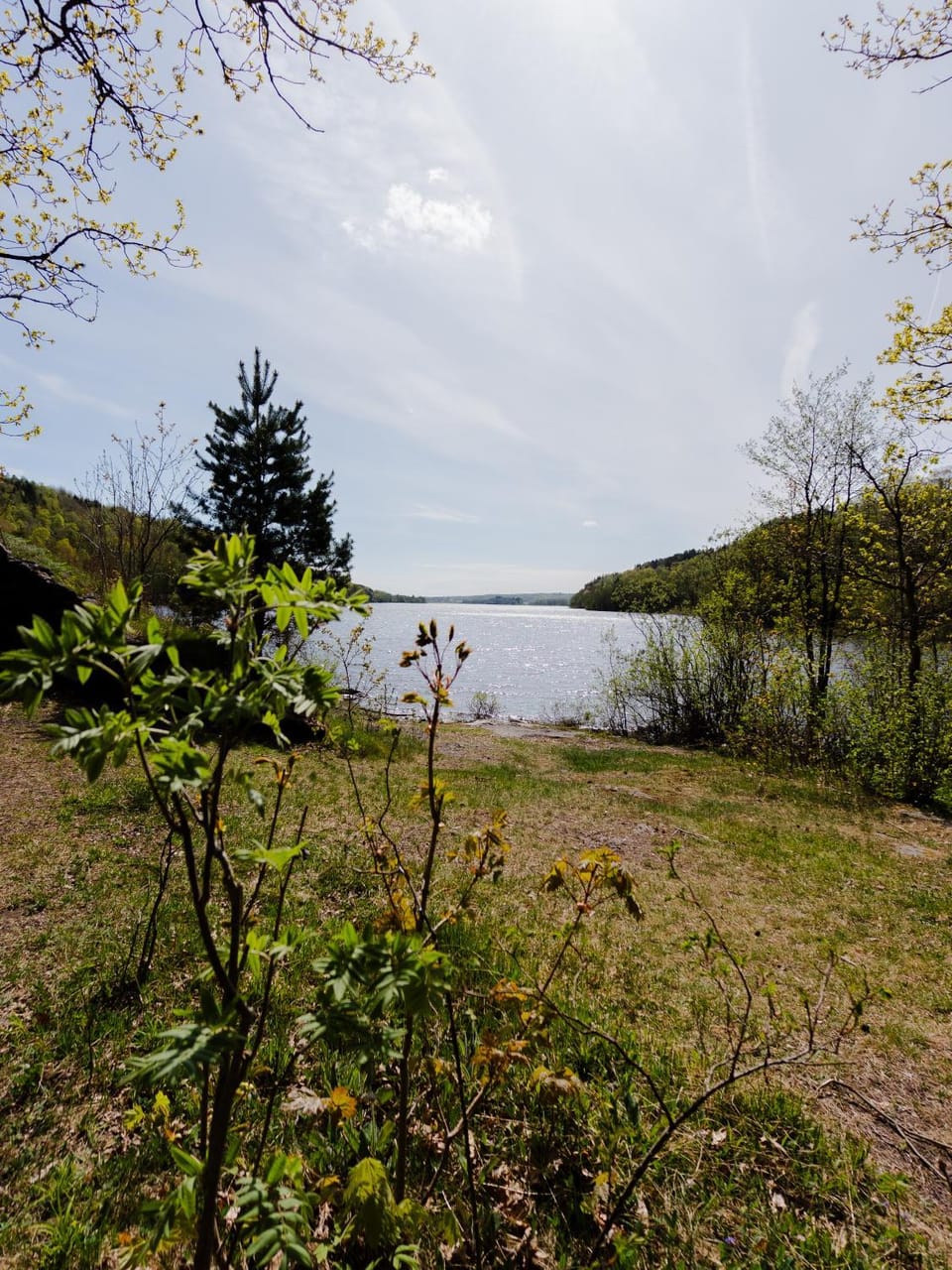 Spring, Day, Natural landscape, Lake view