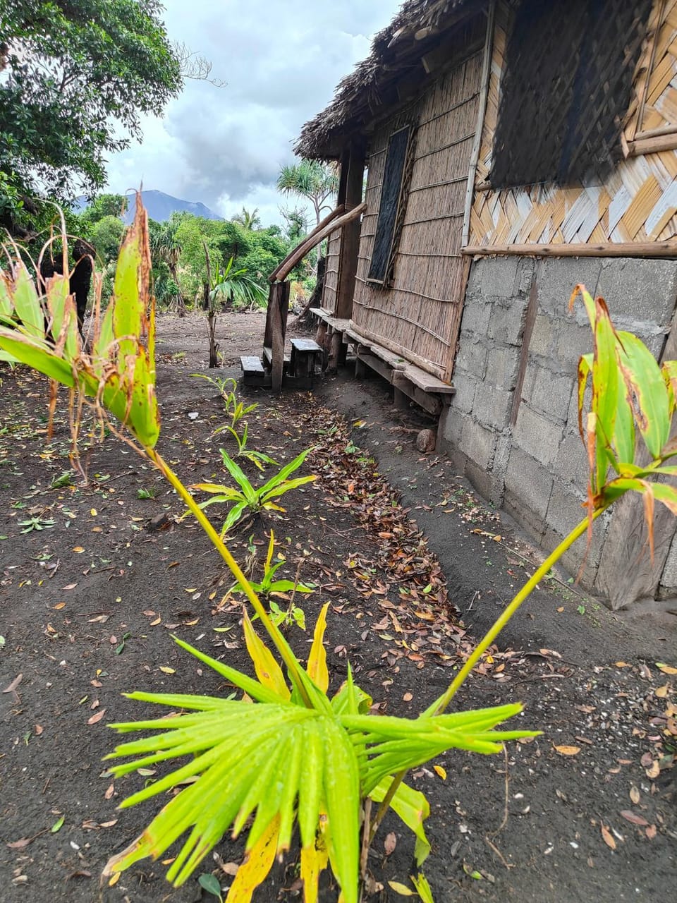 Montanna bungalow Bed and Breakfast in Vanuatu