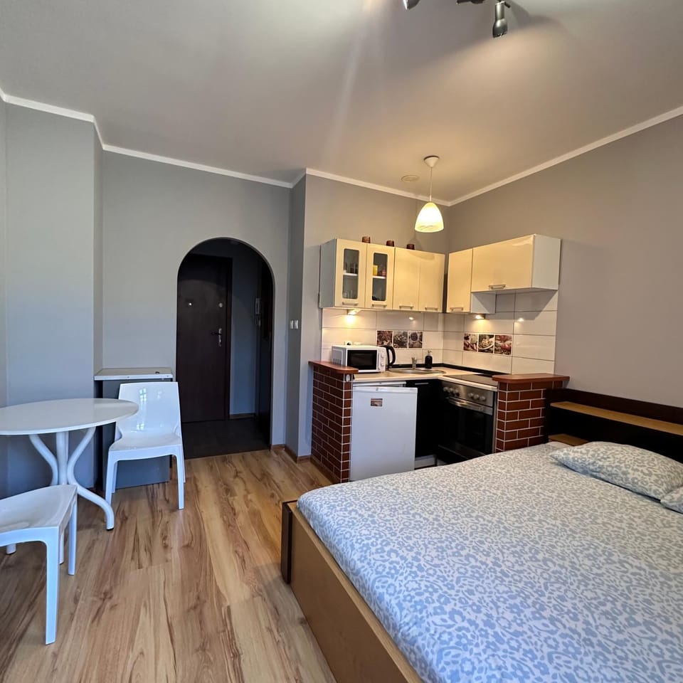 125 Apartment in the Center of Katowice Payment in cash Apartment in Poland