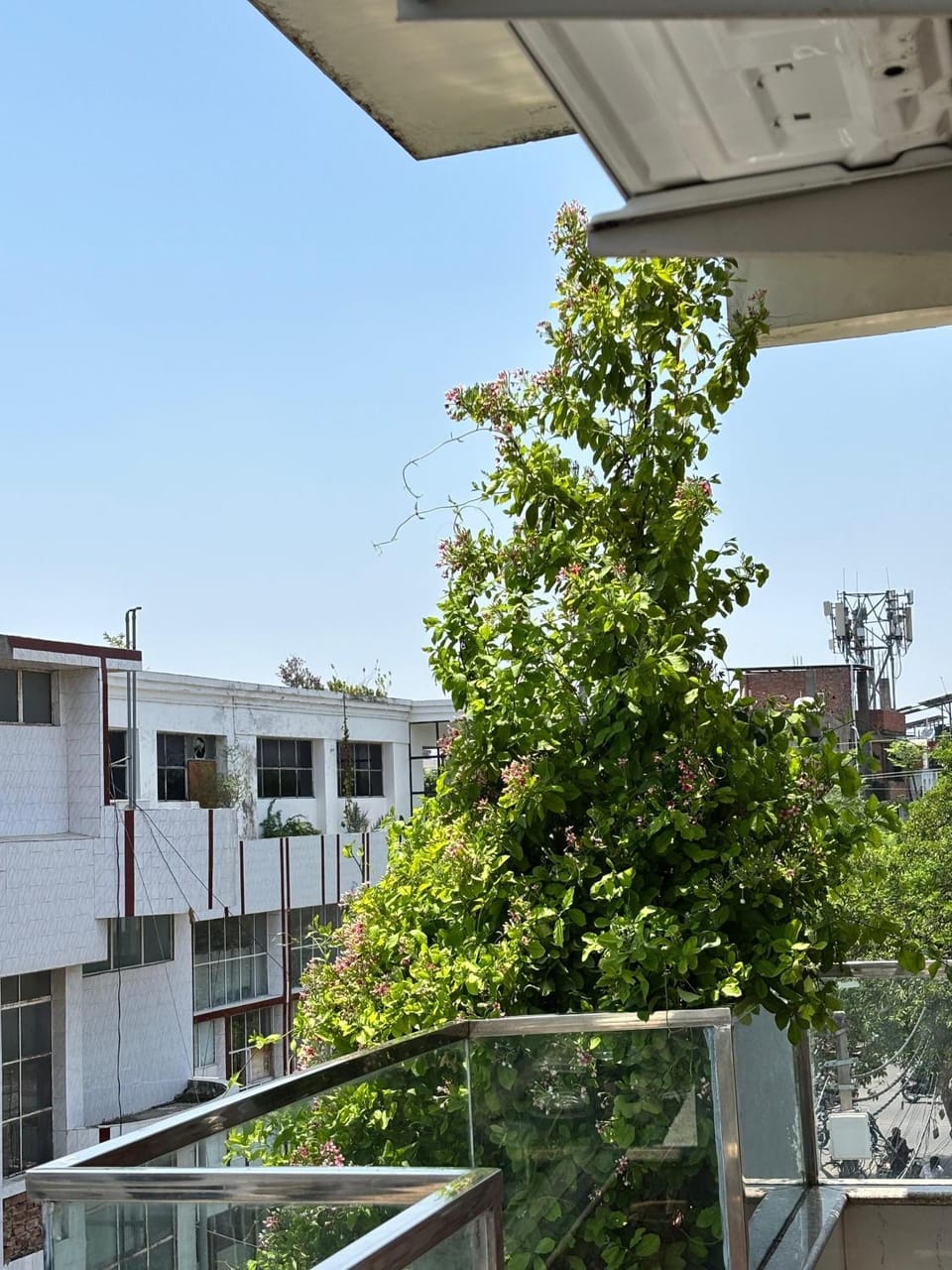 Sunrise Retreat Homestay Vacation rental in Lucknow