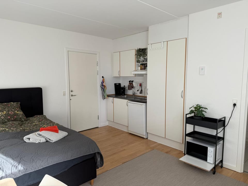Central Scandinavian Apartment Near Metro Apartment in Copenhagen
