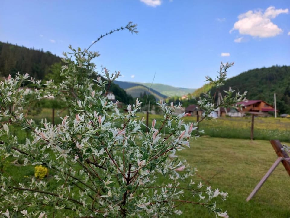 Yaremche Potik Guest House Apartment in Ukraine