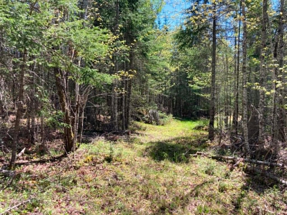 Forest Camps Campground/ 
RV Resort in Surry