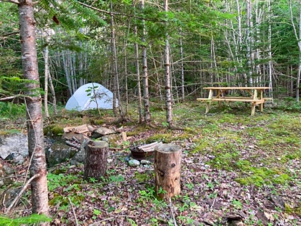 Forest Camps Campground/ 
RV Resort in Surry