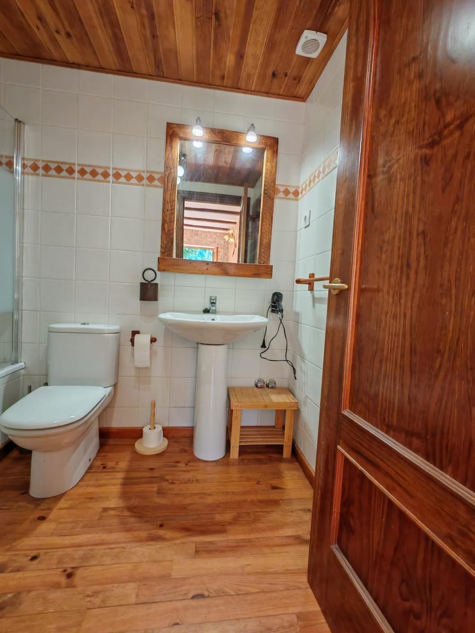 Bajo rústico con jardín privado en la Vall de Boí - Puig Falcó 3 Apartment in Pla de l'Ermita