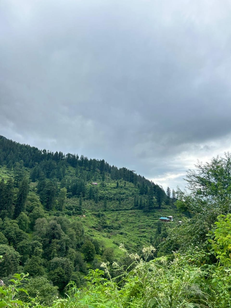 View (from property/room), Garden view