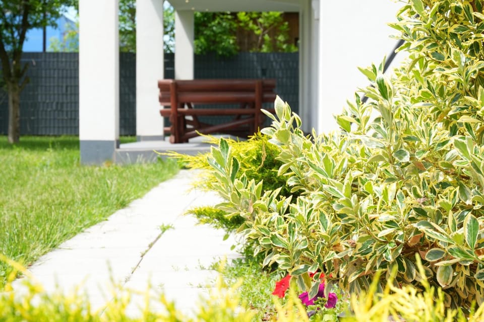 Spring, Day, Garden, Garden view