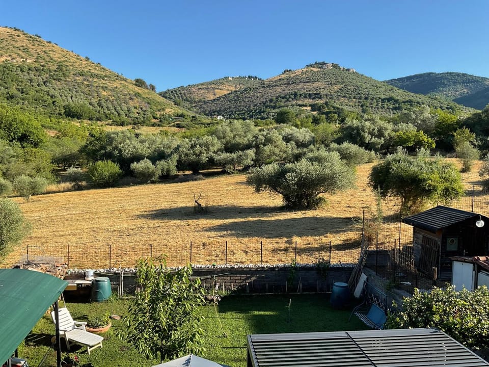 Natural landscape, Garden, View (from property/room)