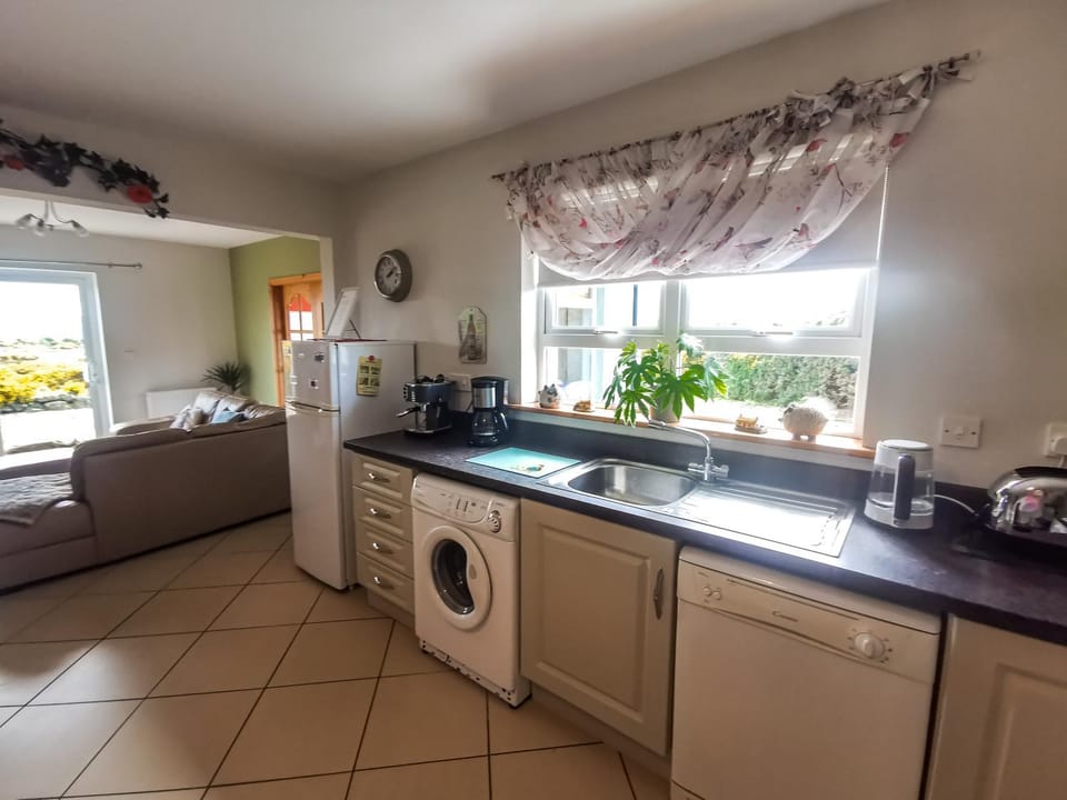 Kitchen or kitchenette, dishwasher, minibar, pet friendly, washing machine